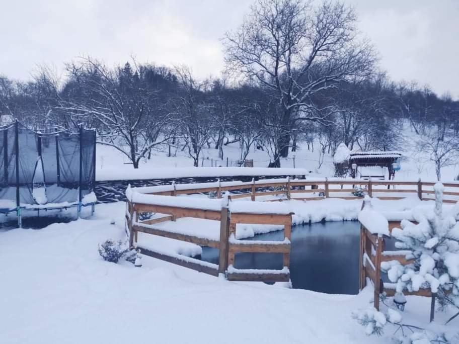 Casa Pintea De Sub Coasta Lägenhet Breb Exteriör bild