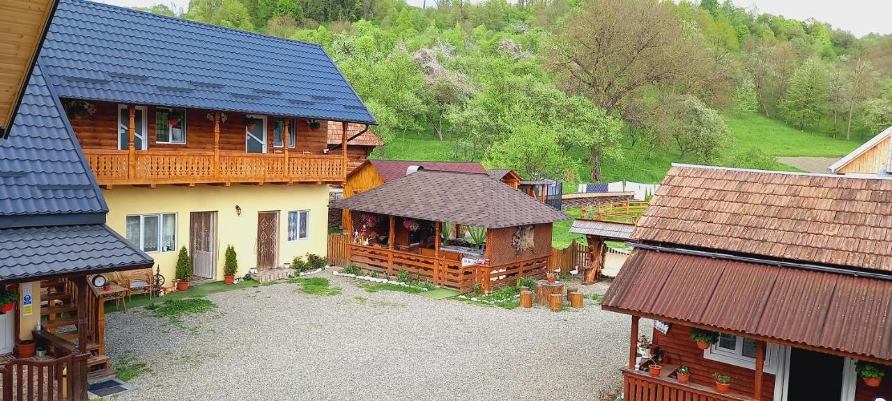 Casa Pintea De Sub Coasta Lägenhet Breb Exteriör bild