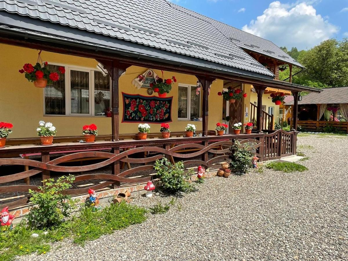 Casa Pintea De Sub Coasta Lägenhet Breb Exteriör bild