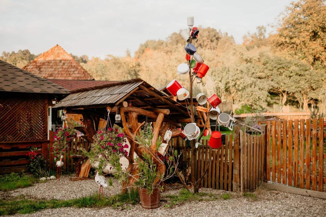 Casa Pintea De Sub Coasta Lägenhet Breb Exteriör bild